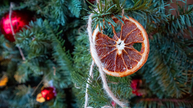 Dried Orange Christmas Tree Decoration