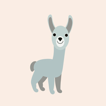 Vector isolated illustration with cute gray lama, baby alpaca in flat simple style on beige background. Children's  color picture, hand-drawn gentle print. Cartoon kind, funny, smiling animals. 
