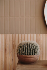 Cactus succulent on table against wooden wall. Minimal interior decoration