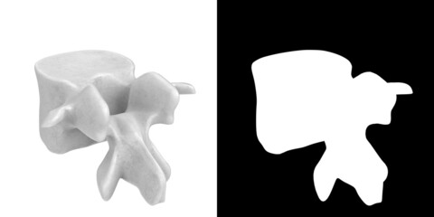 3D rendering illustration of a stylized human lumbar vertebra anatomy
