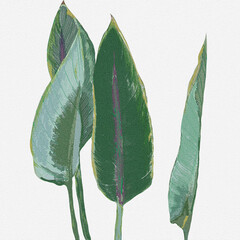 Cztery duże zielone liście na białym tle ilustracja - obrazy, fototapety, plakaty