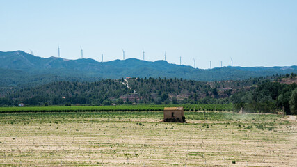 Fototapeta na wymiar Wind turbines generating electricity over blue sky background. Green renewable alternative energy concept - wind generator turbines generating electricity. Summer mountain landscape in Spain