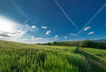 Fototapety na wymiar - Fototapeta24.pl