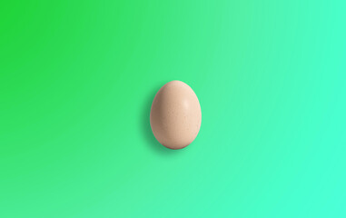 Chicken egg. Egg concept, lots of protein. Eating scrambled eggs, eggshells.