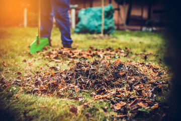 Raking leaves. The man is raking leaves with a rake. The concept of preparing the garden for winter, spring. Taking care of the garden.