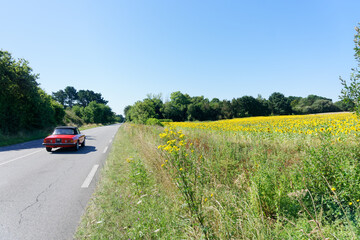 Red convertible and country road to La Baule city in Loire-Atlantique coast