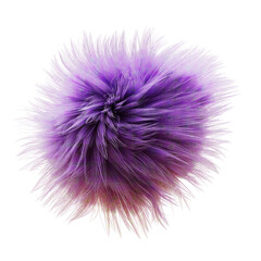 fluffy ball, furry purple sphere isolated on white background