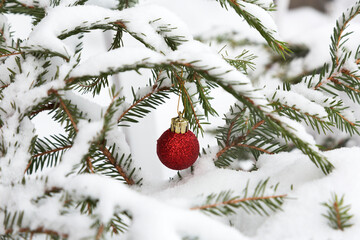 Fototapeta na wymiar Christmas tree branch with a big red ball