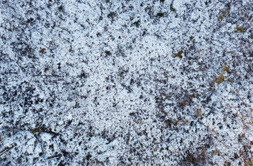 Aerial view of white winter forest field
