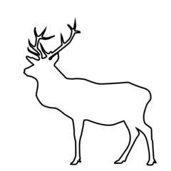 Hand drawn linear of silhouette of deer Abstract line icon wild animal forest.Miinimalism style for baby poster, christmas card, greeting card, wedding cad, banners, social media stories stikers.