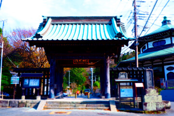 Fototapeta na wymiar 古都鎌倉にある、比企能員ゆかりの古刹、妙本寺の総門