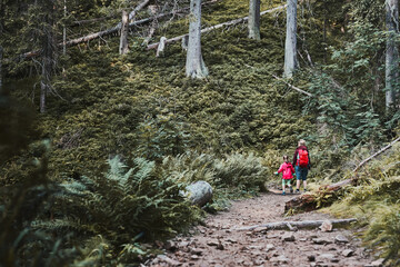 Family trip in mountains. Mother with little girl walking on path in forest, actively spending summer time together. Enjoying the outdoors in the summer trip vacation