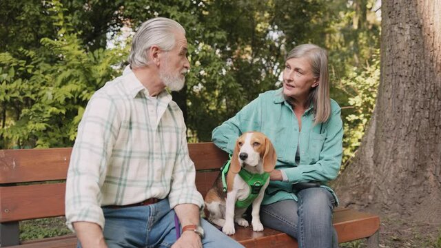 Full length shot of cute senior couple sitting at the bench with their beagle dog together at the street and having conversation with pleasure. Pets concept