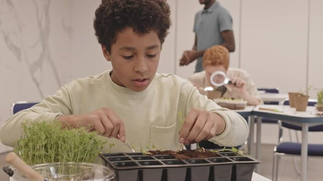 Chest-up of curly Biracial boy sitting at desk in botany class, transplanting seedlings into pots and taking pictures with smartphone