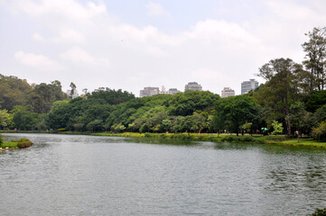 Fototapeta na wymiar Ibirapuera Park 