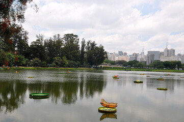 Ibirapuera Park 