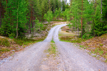 Fototapeta na wymiar Dirt winding road in the northern forest
