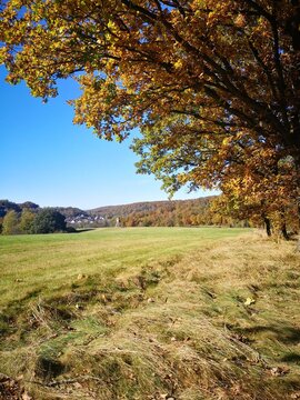 Herbst im Thüringer Wald, Unkerodaer Blick