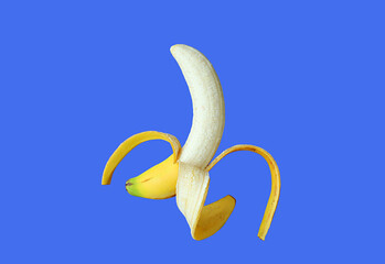 One peeled fresh ripe banana isolated on cobalt blue backdrop