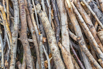 The idea of creating a homemade art composition from dry branches in the autumn garden or in the backyard