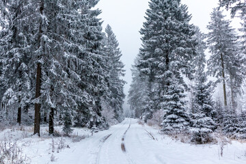 Winterliche Entdeckungstour durch den Thüringer Wald bei Steinbach-Hallenberg - Thüringen