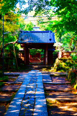 鎌倉五山第三位の古刹、寿福寺の苔むした石畳の参道を歩く