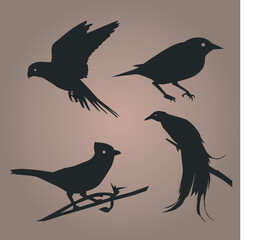 4 vector silhouette birds 