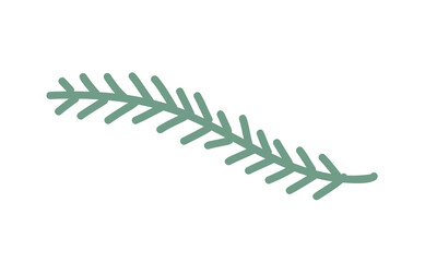 The branch of the Christmas tree. Spruce branch isolated on white background. Green fir. Vector llustration for Xmas cards, New year party posters. Christmas Tree Leaf Designs Flat Vector