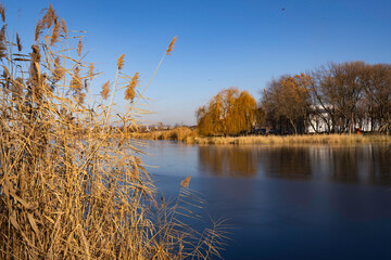 Wonderful view near the reeds that open up to the church in the city of Kremenchuk