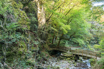 神庭の滝へと行く遊歩道と渓谷（秋）岡山県真庭市　Promenade and valley leading to Kanba Falls (Autumn). Okayama-ken Maniwa City	

