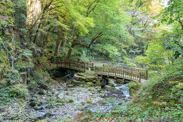 神庭の滝へと行く遊歩道と渓谷（秋）岡山県真庭市　Promenade and valley...