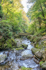 Obraz premium 神庭の滝へと行く遊歩道と渓谷（秋）岡山県真庭市 Promenade and valley leading to Kanba Falls (Autumn). Okayama-ken Maniwa City 