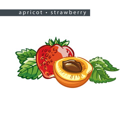 sketch_apricot_strawberry_whole_fruit_half_and_leaves