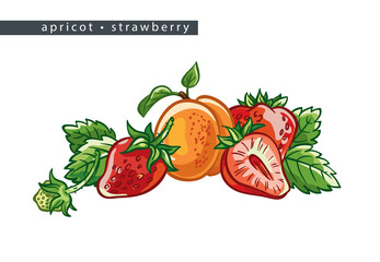 sketch_apricot_strawberry_three_whole_fruits_half_and_leaves