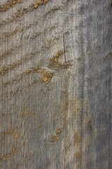 The texture of the old painted board. Longitudinal cut of a tree. The orange paint has cracked from time to time.