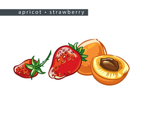 sketch_apricot_strawberry_three_whole_fruits_and_half