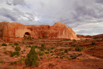 Fascinating red rock formations in the surroundings of Moab. Typical Utah landscape at sunset, USA.