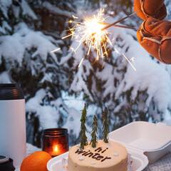 Hello winter, cozy winter mood. A beautiful winter picnic with tea in a thermos and a bento cake...
