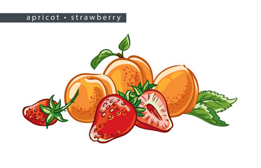 sketch_apricot_strawberry_five_whole_fruits_and_half
