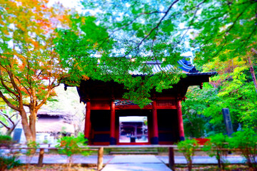 古都鎌倉にある、比企能員ゆかりの古刹、妙本寺の二天門の装飾