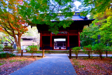古都鎌倉にある、比企能員ゆかりの古刹、妙本寺の二天門の装飾