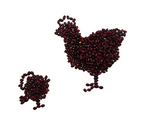 bean chicken with small chicken on white background, plant based meat