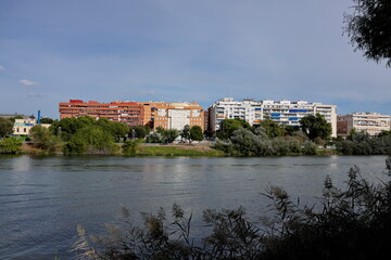 Rive du Guadalquivir. Séville. Espagne.