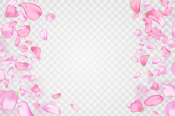 Pink falling sakura petals and flowers.Nature horizontal background.