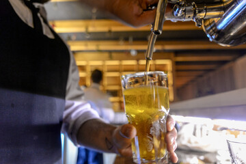 the bartender pours beer into a glass from the tap
