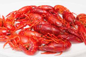 A pile of tasty boiled crawfish on a round white plate on a white background. Top view,closeup, copy space.