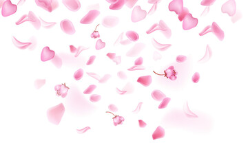 Pink falling sakura petals and flowers.Nature horizontal background.