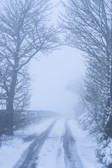 Narrow road in the snow