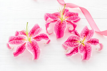 Obraz na płótnie Canvas Pink lilies blossom flowers with purple ribbon