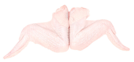 Raw chicken wings isolated on white background. bird wings